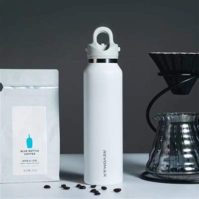 Aqua Flask Tumbler Insulated Stainless Steel